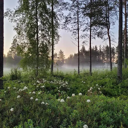 Siikavilla, Siikajoki Eksteriør billede